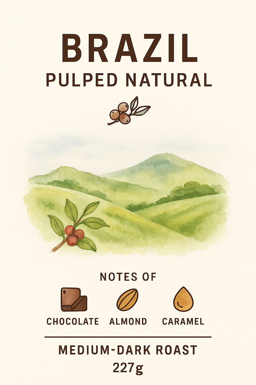 Brazil Pulped Natural – Medium-Dark Roast (227g)