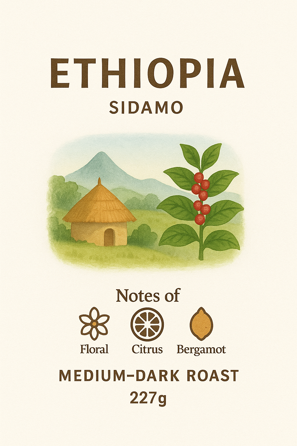 Ethiopia Sidamo – Medium-Dark Roast (227g)